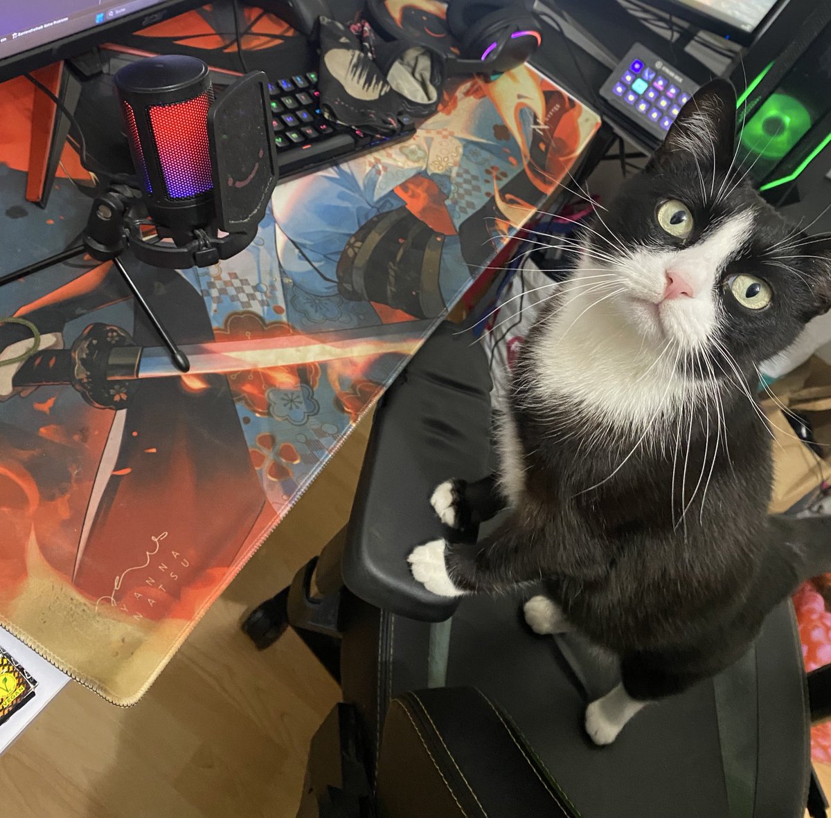 Here we have! cheering for mibr! colors are matching so 😄

#VCTAmericas