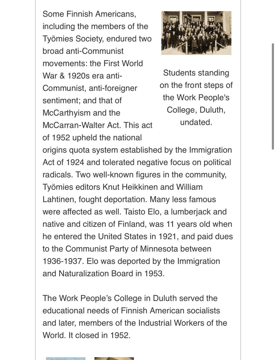 Lydia Kauppi tweet media