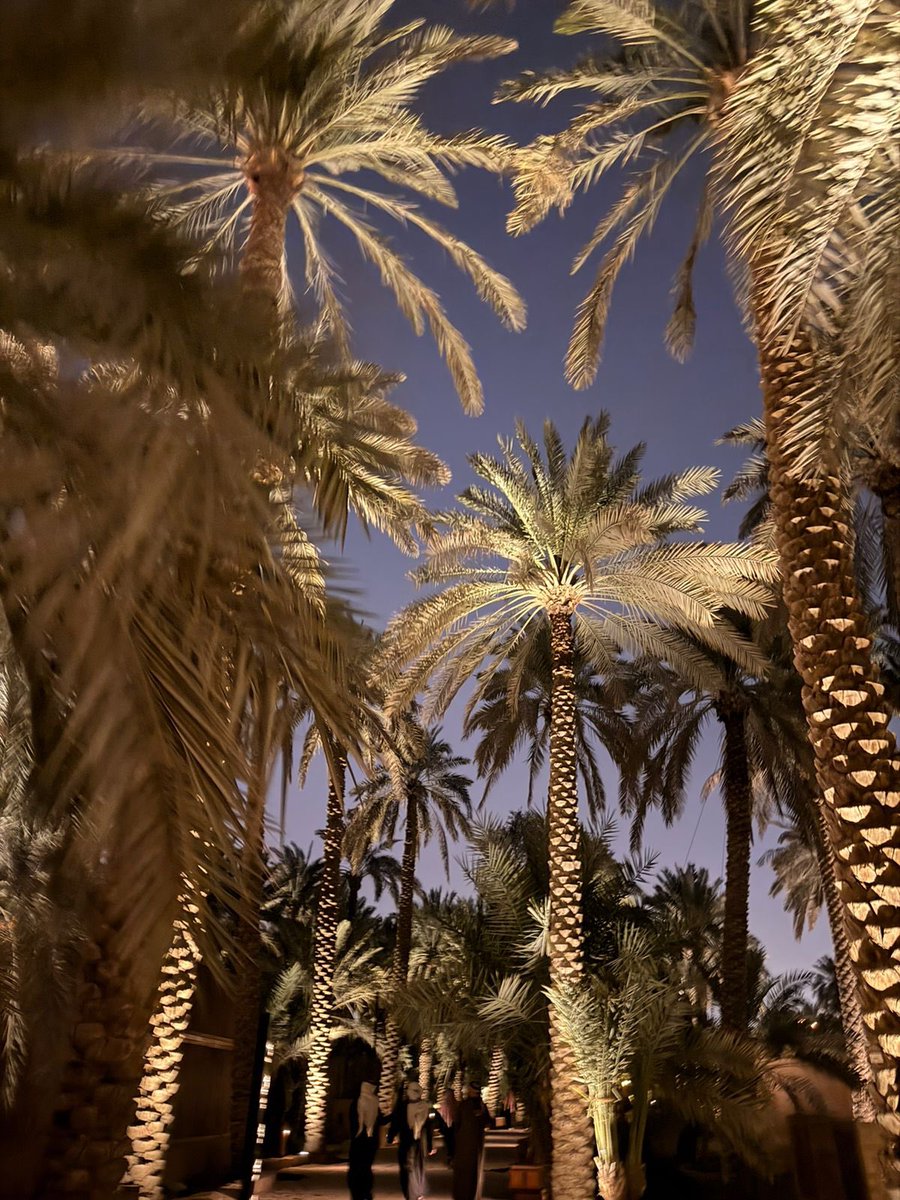 عاليـة tweet media