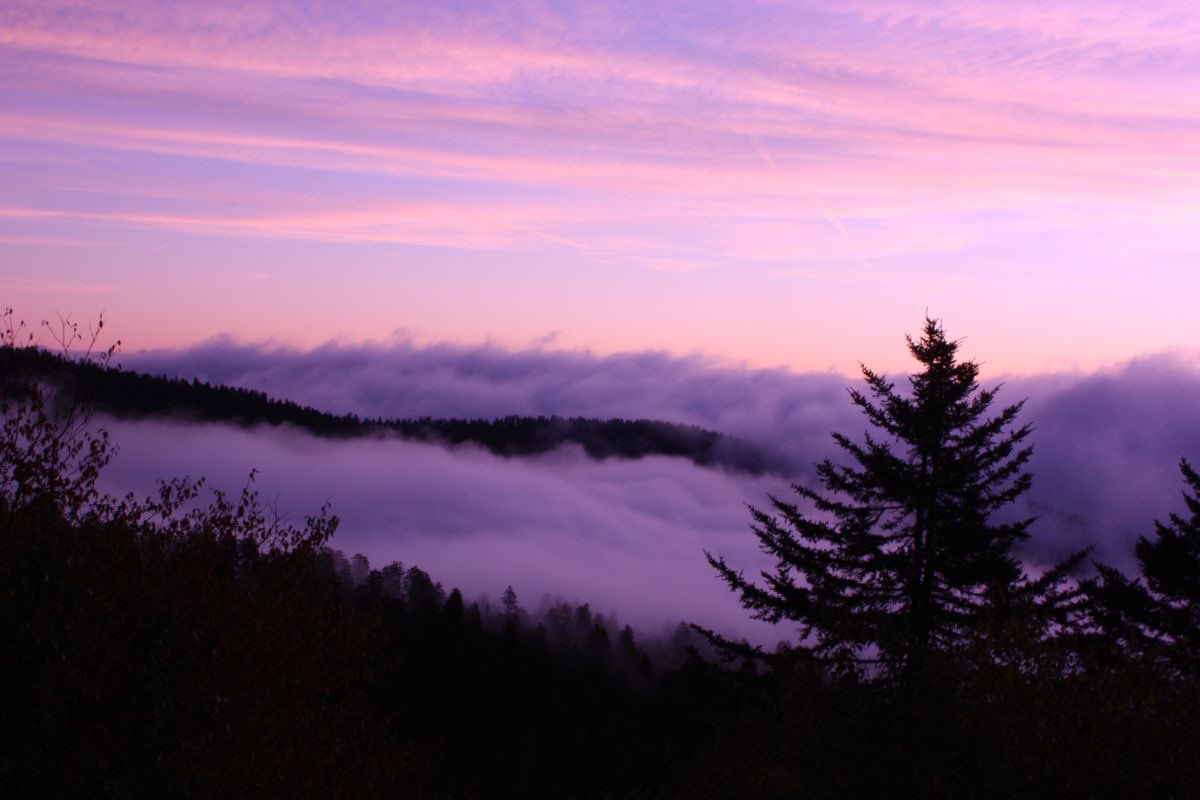 det_ii's tweet image. 