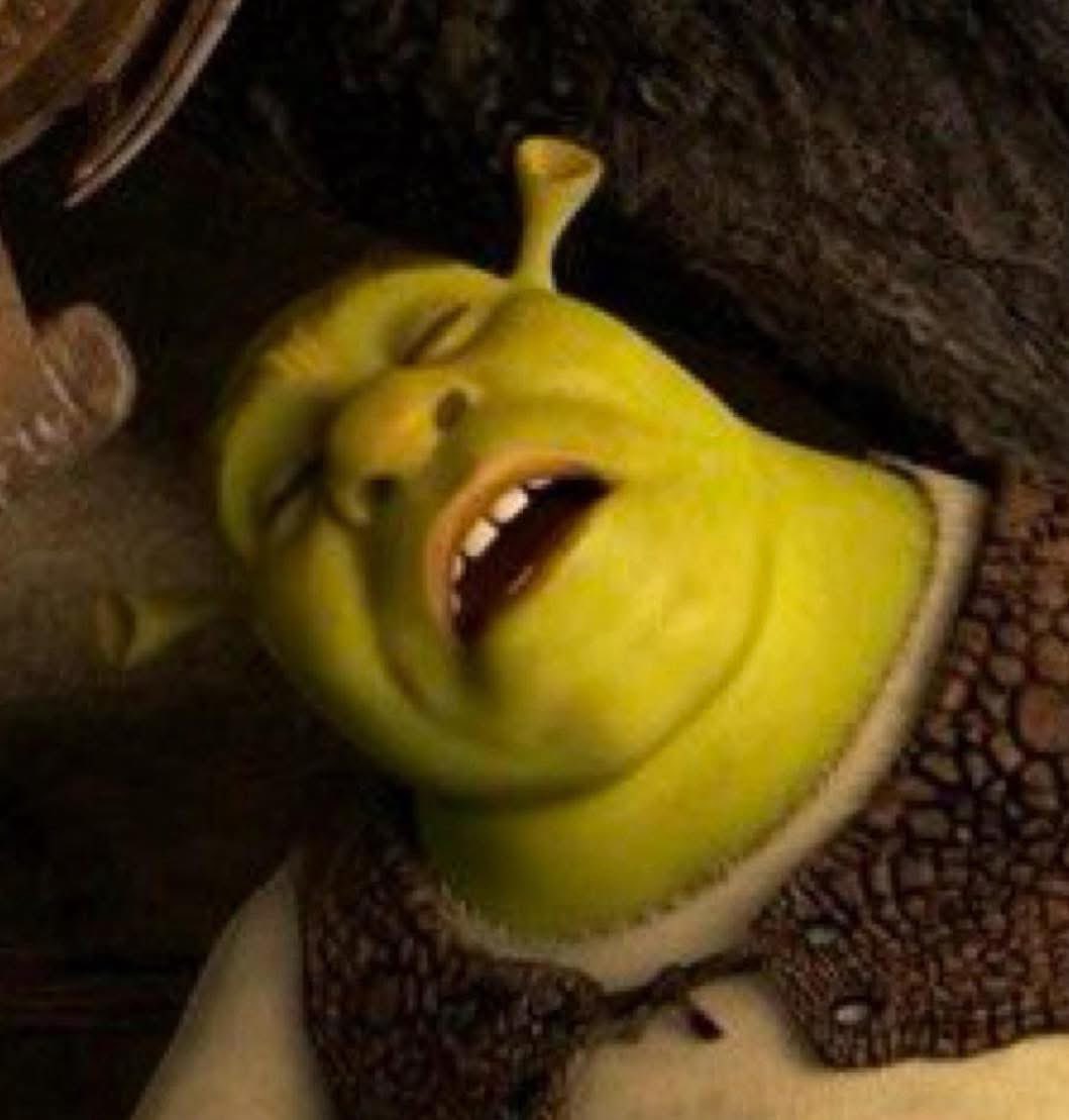 Me falling back asleep after waking up