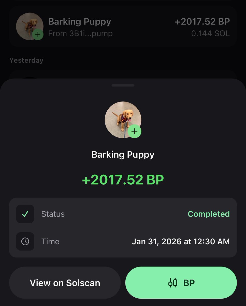bleshgod's tweet photo. The admin of this community is not the dev

The dev @BPuppy80020 is only in the pump fun chat

If you want to talk with him, go on pumpfun app and join the chat

He is texting right now on there and he just bought 0.14 sol of $BP 5 minutes ago 👀 https://t.co/GBvO1ZXX6c