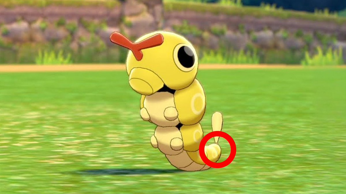 NidosCDMX 🪺🇲🇽 tweet media