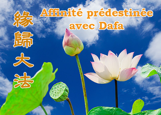 MinghuiFr's tweet image. Un détenu découvre le Falun Dafa en prison. #FalunDafa #Dafa fr.minghui.org/html/articles/…
