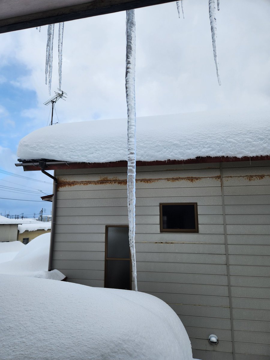 おはよぉーございます🌞
雪かき始めますかぁ！⛄️