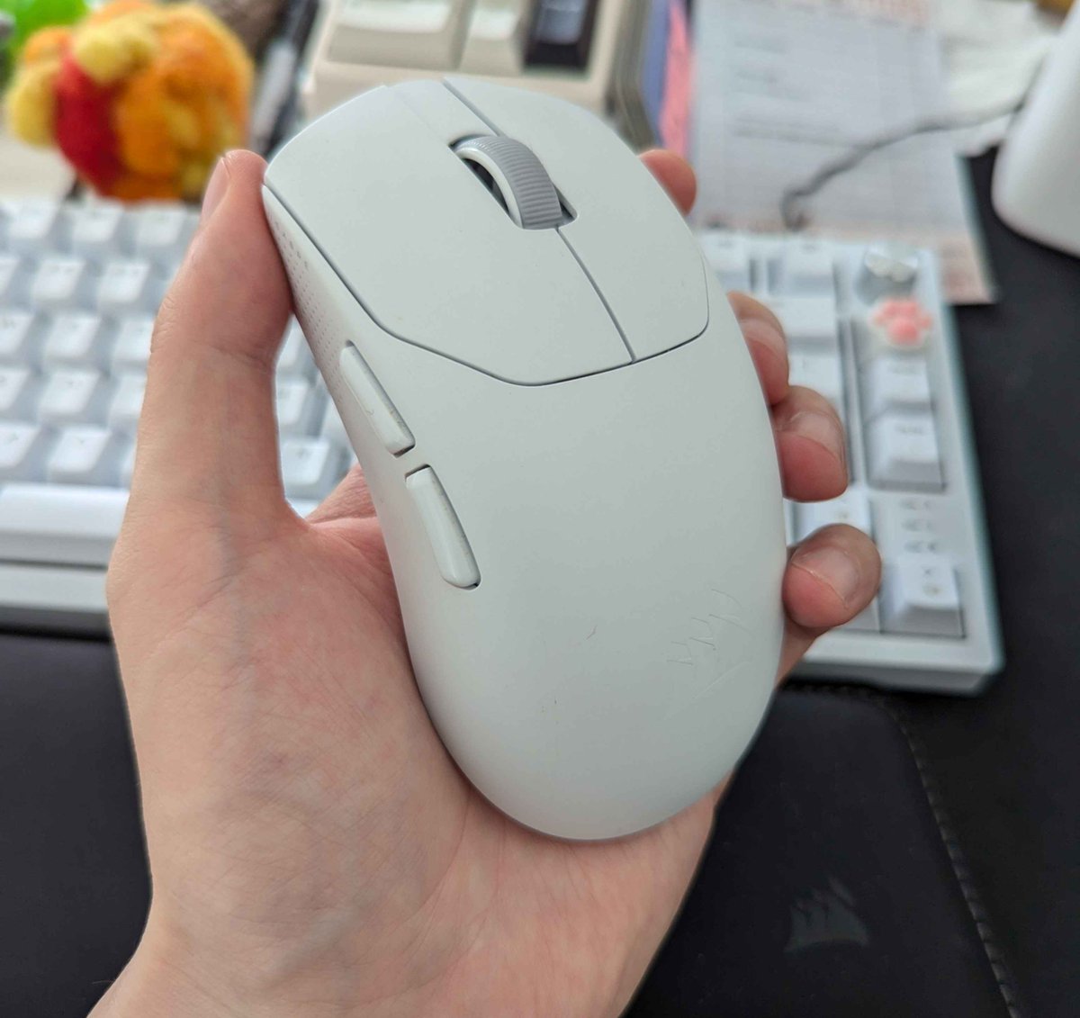 Hydrasung 🍫 tweet media