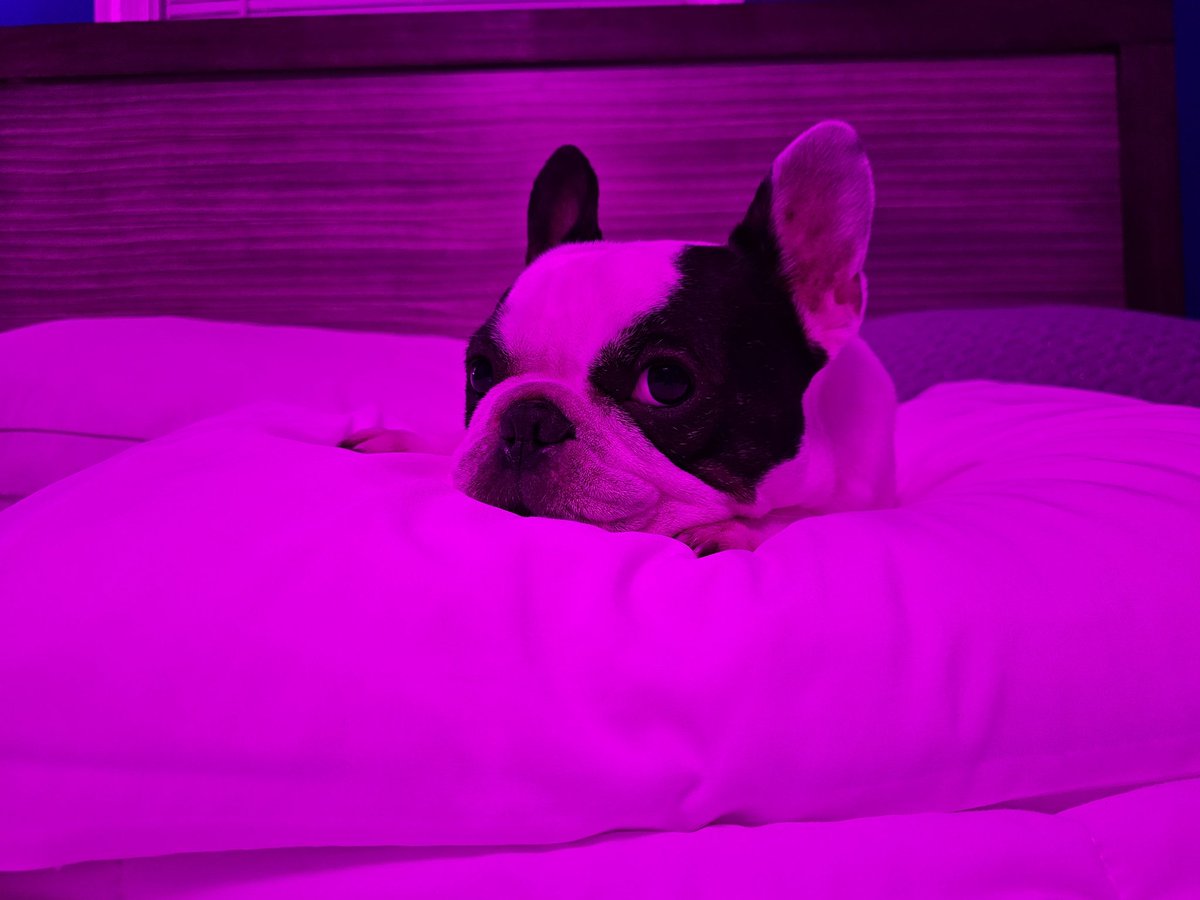 The Canes Stats Brand™ tweet media