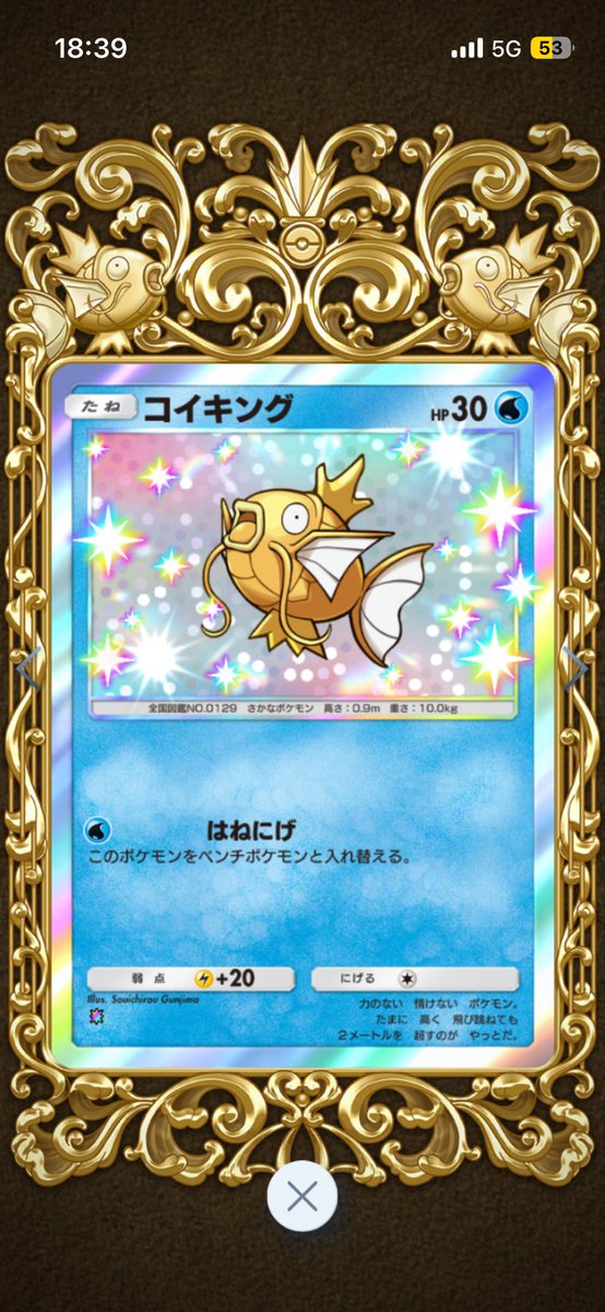 Kay_MMT's tweet photo. ずっと欲しかった三鳥エンブレムと金コイキング、赤いギャラドス手に入れたいから満足 https://t.co/2wluPrUGoe
