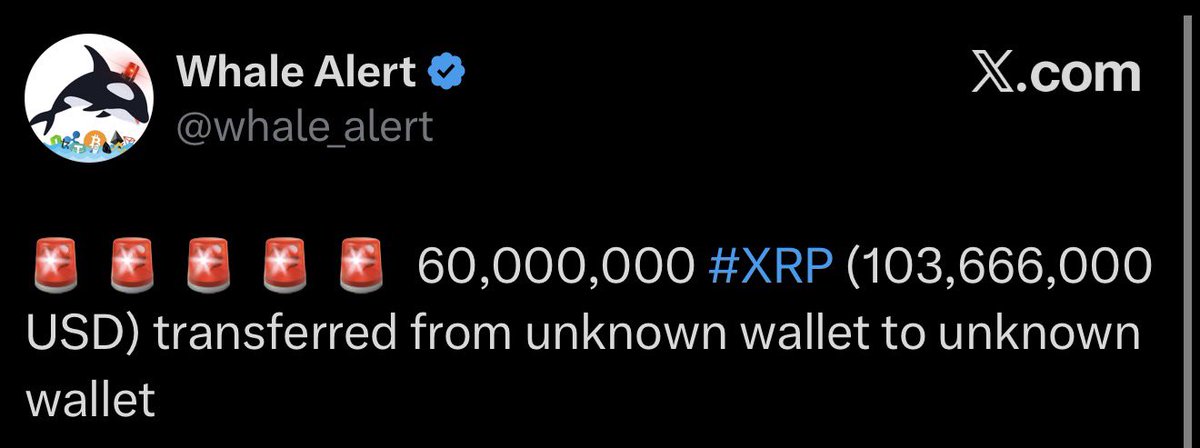 XRP Update tweet media