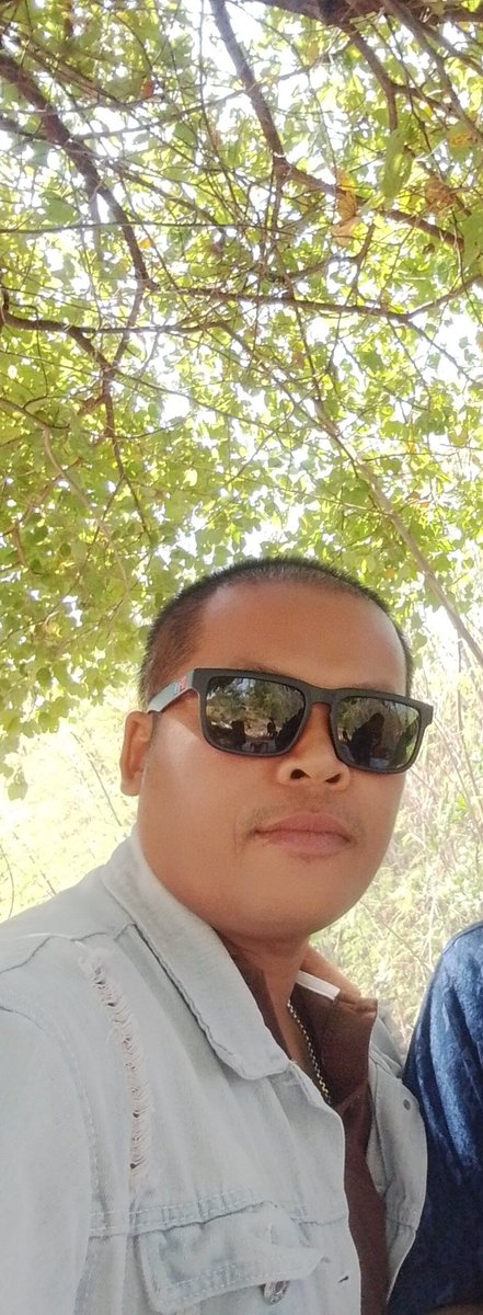 loso land tweet media