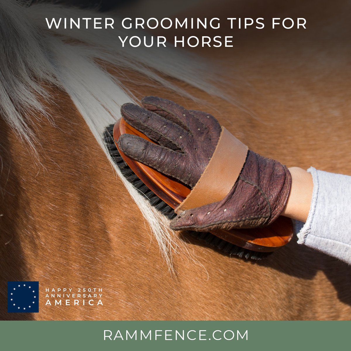 RammFence's tweet photo. Winter grooming is essential even when you're riding less! A good grooming session keeps your horse clean, healthy, and strengthens your bond. Emily Fought shares expert winter grooming tips at our blog. https://t.co/OfcOBCZ5j4 

#RammFence #WinterGrooming #HorseCare #WinterHorse https://t.co/N4pvjsVw60