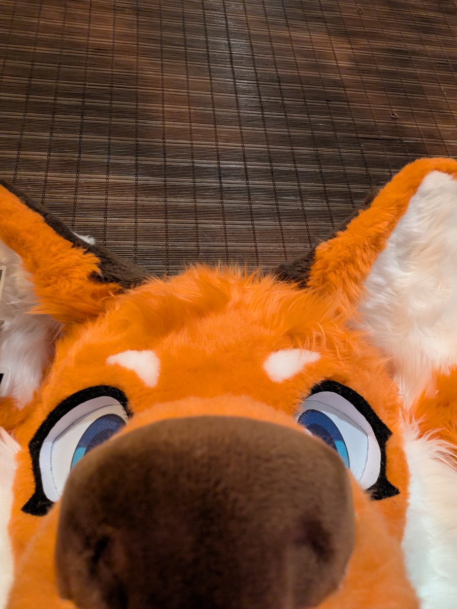 Bᵣₐᵧₐₙᵧₒₘᵦₑᵣₜₕₛₒₙₙ Wᵢₗₗₖₑᵢᵦₑᵣₛₒₙ ₓₓₛₛᵣᵢᵢₜₜₕ Yₑᵢᵦₑᵣ tweet media