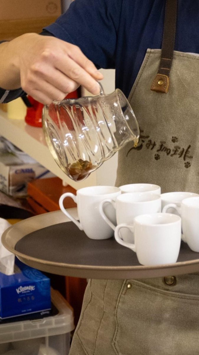 turtle_1904's tweet photo. 1月31日（土）
本日、17時（LO/16時30分）までの営業となります☕

11時〜17時
ホソミーファクトリー×歩み珈琲
営業致します☕ https://t.co/4SAkVcSw8S