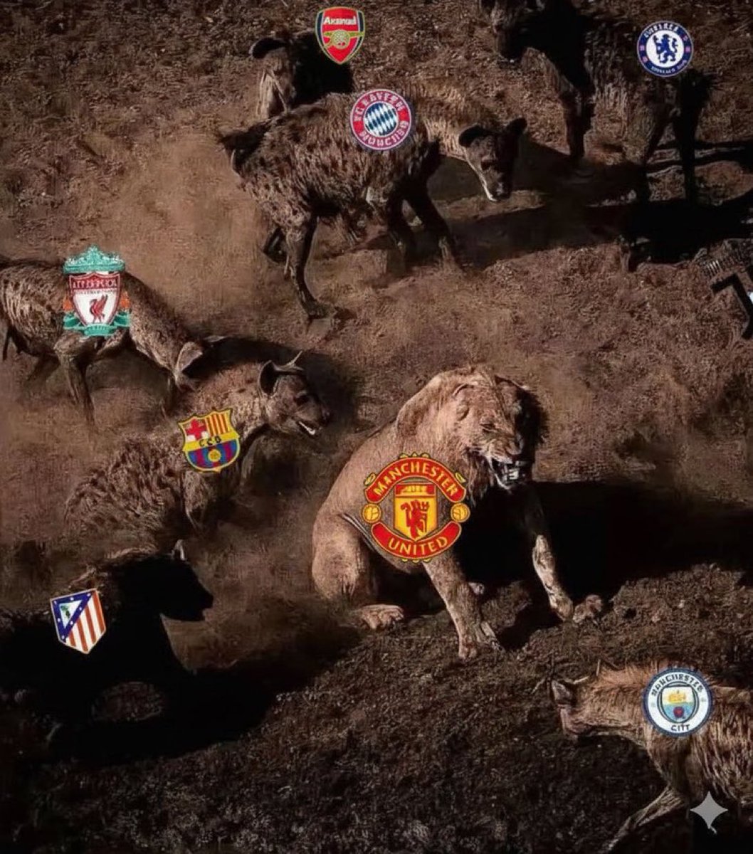 Out Of Context Man Utd (@manutdnocontext) on Twitter photo 