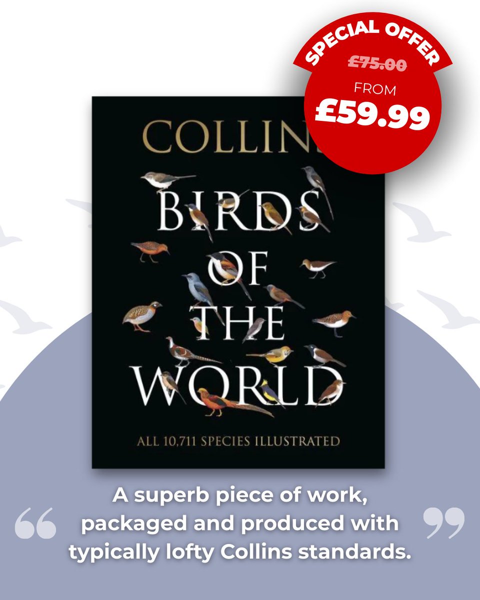 BirdGuides's tweet photo. 🔥 Limited time special offer 🔥
The price doesn't get better than this!
Buy now: https://t.co/5o5nWbGfMU
#birdguides #bookshop #birdwatch #birdbooks #birds #birding https://t.co/h7zP98Q6Vv