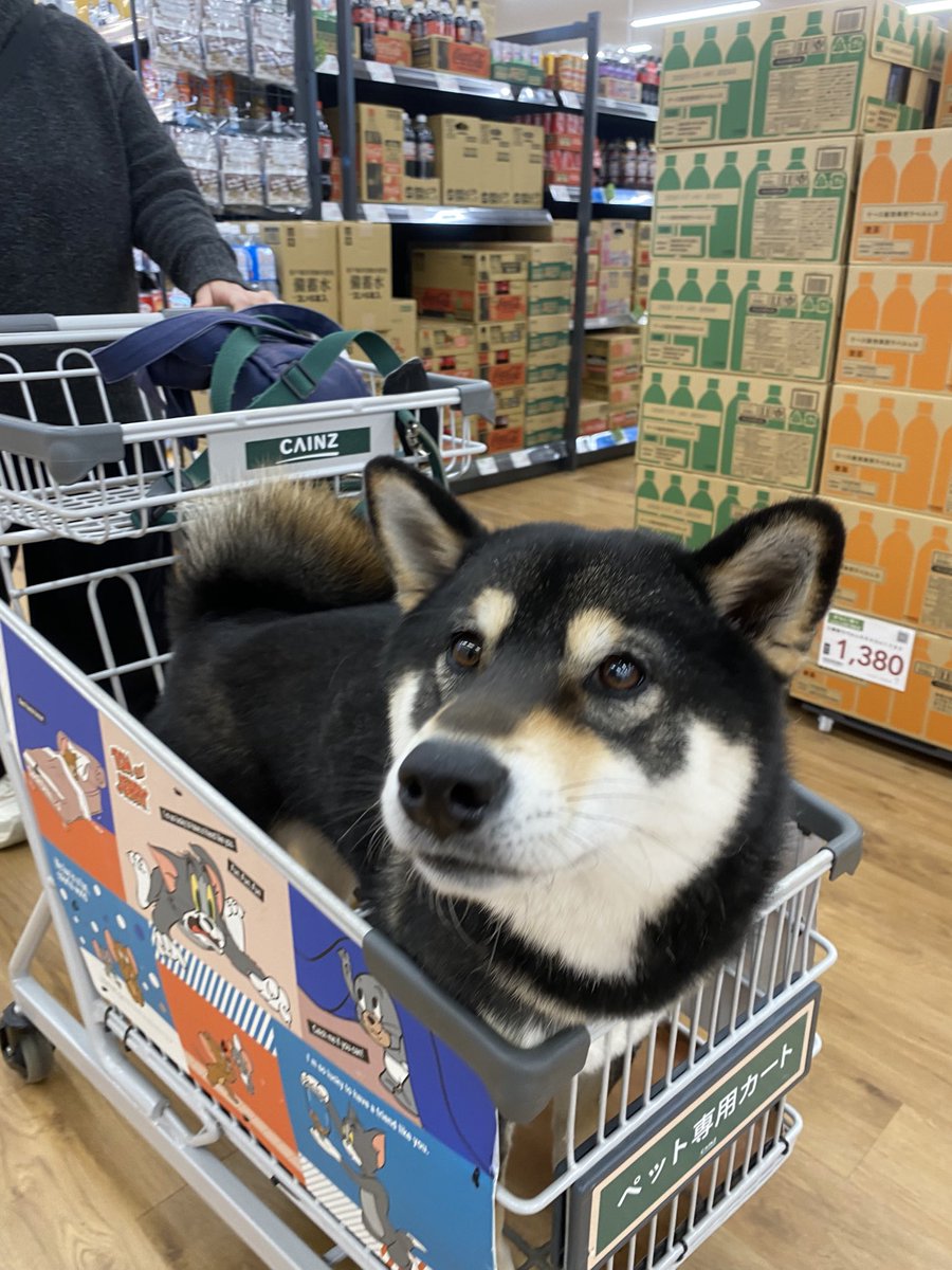 Ryo-1(ﾘｮｰｲﾁ) (@kRCxXQ95whwSOqI) / Posts / X