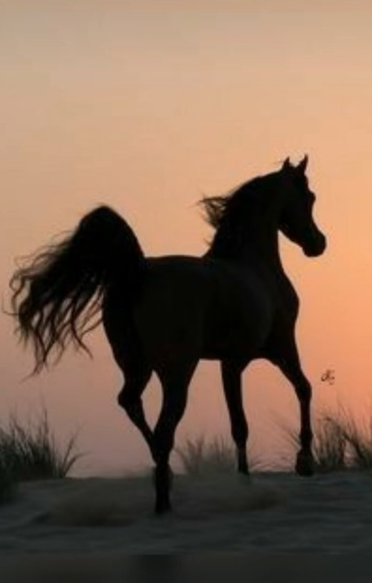 "أيامُ  عمرك  تمضي  لا رجوعَ  لها
فارسُمْ بها لوحةً من أجمل الصورِ

لا شيء يبقى سوى ذكراك شاهدةٌ
نعم  الشهادة.....إن تدعو  لمفتخَر
#صباح_الخير