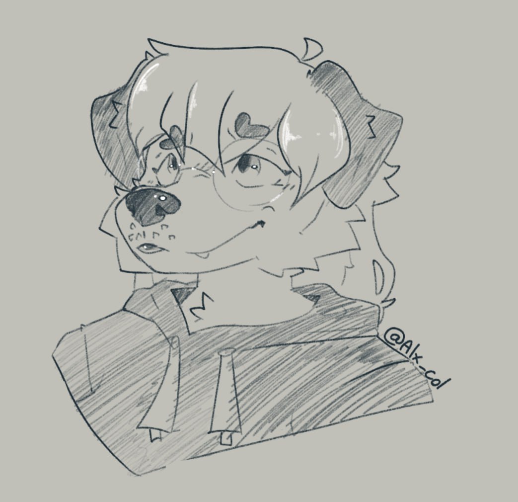 some sketches I've working on 🐾
#furry