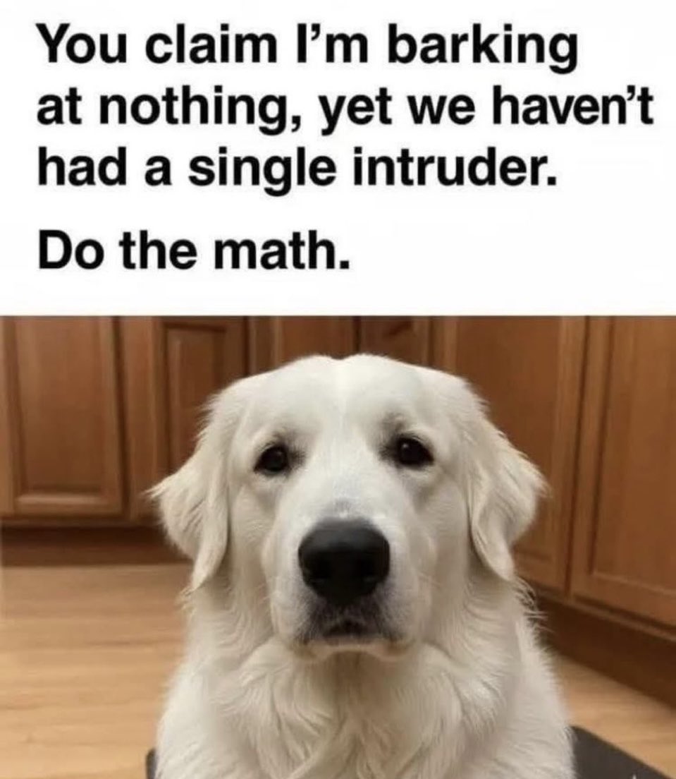 Good boy makes a solid point. 💪🐶