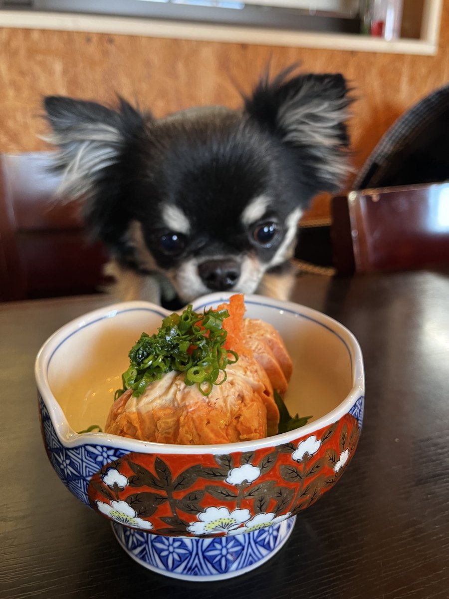 琉陀瓶ルン tweet media