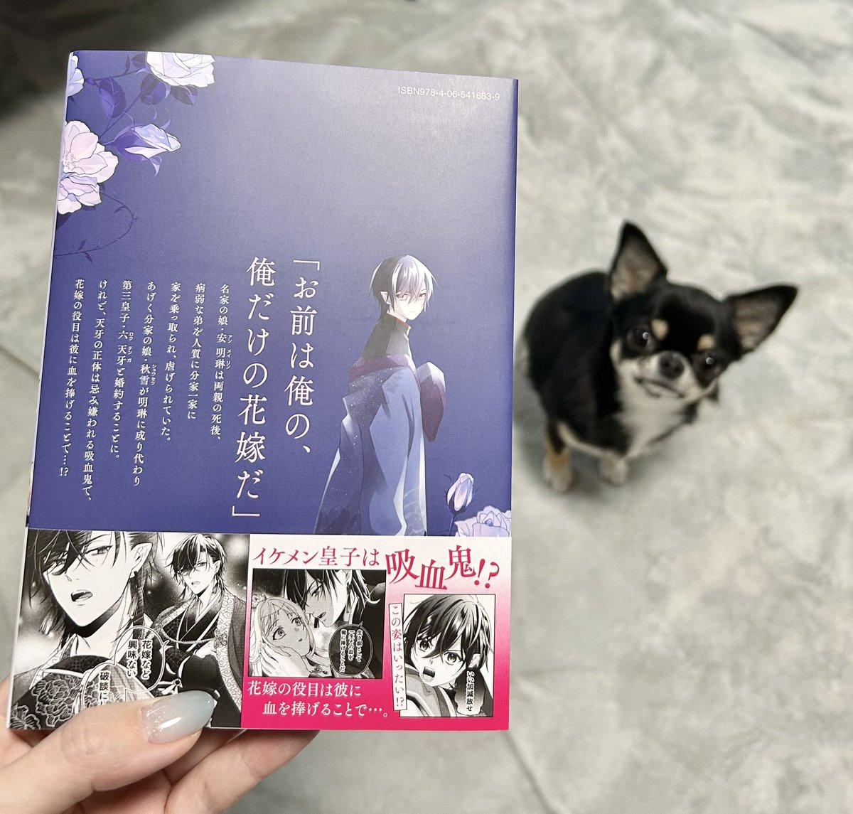 見本誌届きましたー！ 裏面には少年天牙がいます✨ 「吸血皇子と生贄