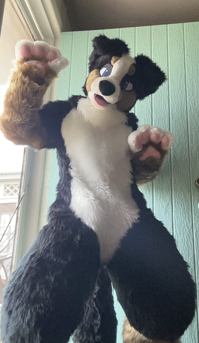 ๐๐จ๐๐๐ซ๐ ๐ฝ๐ ๐ฉ @ TFF tweet media