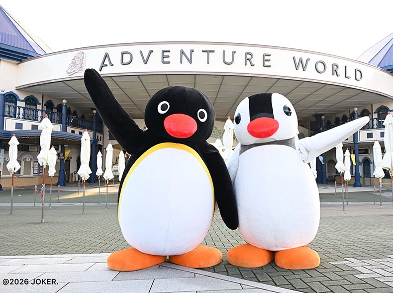 ピングー&ピンガに会えるラストチャンス！✨🐧/ 2026年2月28日(土)まで