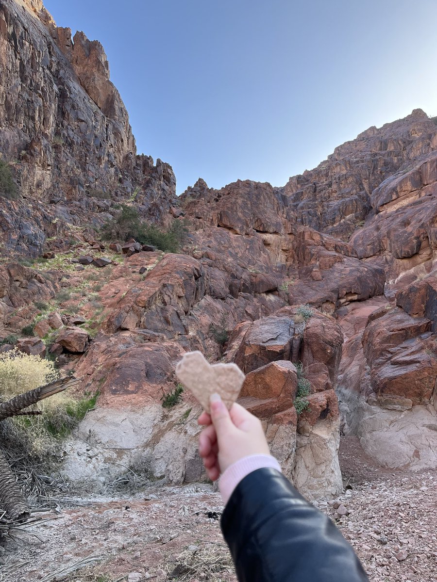 هديل | Tollmos tweet media