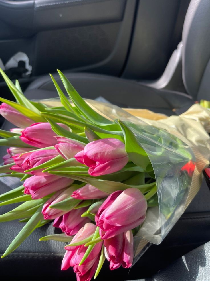 tutututututulip's tweet image. 