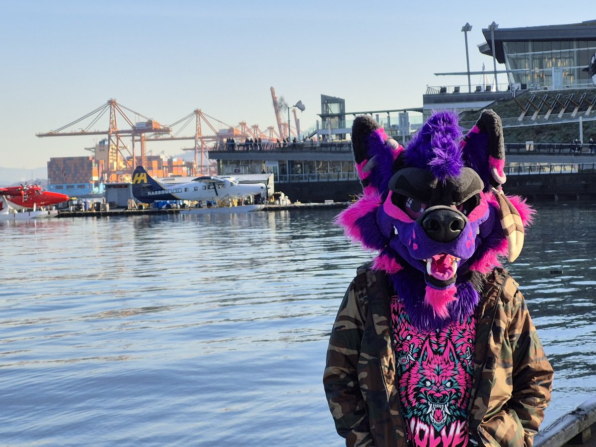 Vancouver 🍁❄️💜 gracias! Ahora tienes un lugar muy especial en nuestros corazones💜🩷
Aunque fuera poco el tiempo, fue suficiente para querer regresar!
#FursuitFriday #furry #fursuit #werewolf #poodling