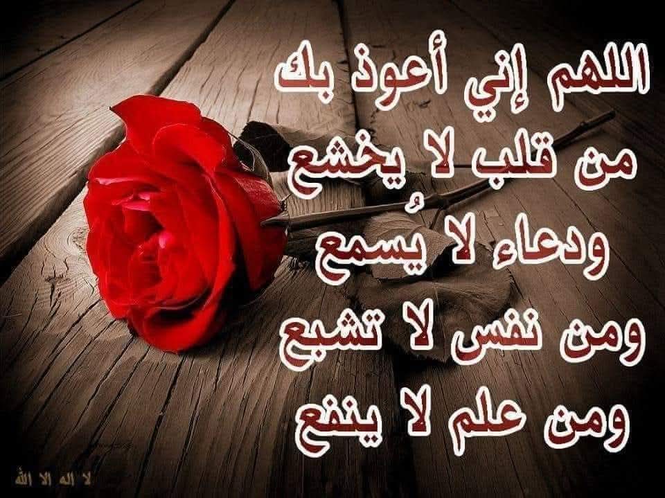 Ahmed Fathy ibrahem (@hlmyfathy) on Twitter photo 