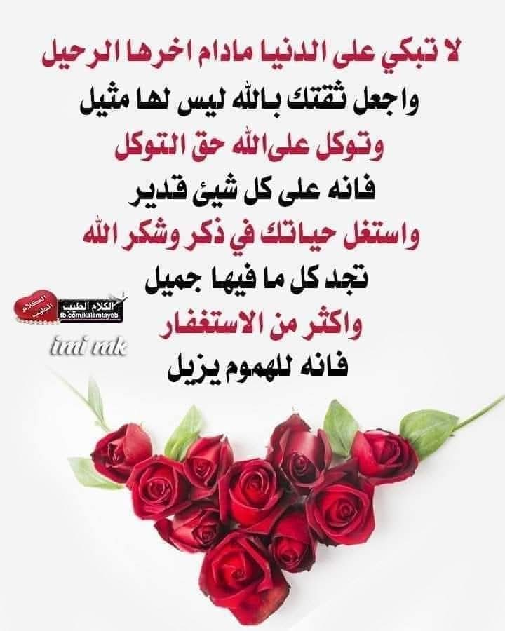 Ahmed Fathy ibrahem (@hlmyfathy) on Twitter photo 