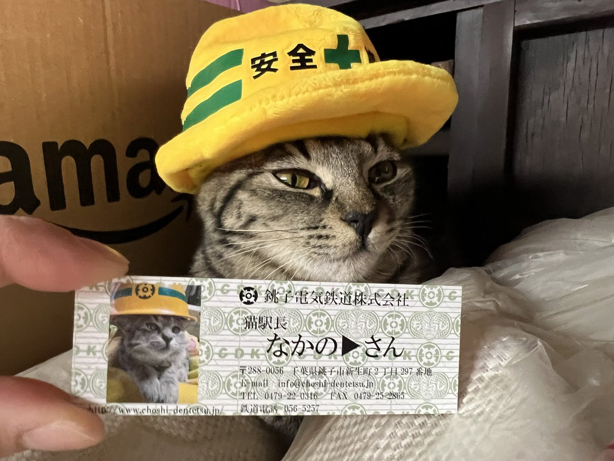 にこ(・ω・)様♡ありがとうございます♡ ふーさん (@foochan3974) / Posts / X