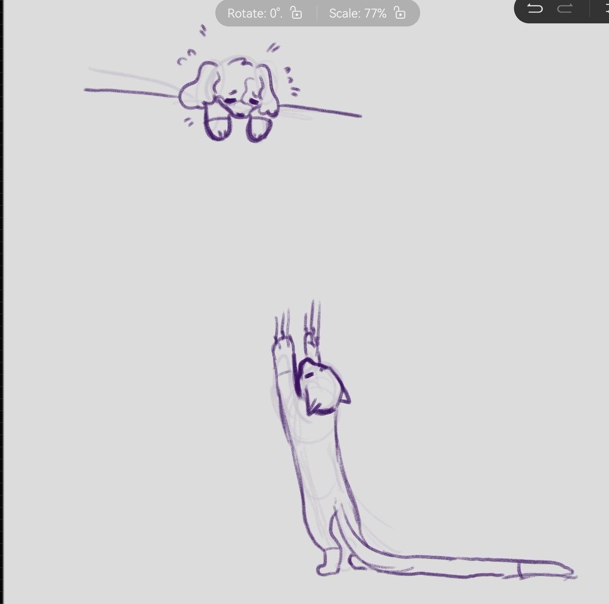 cat + dog type ship era tweet media