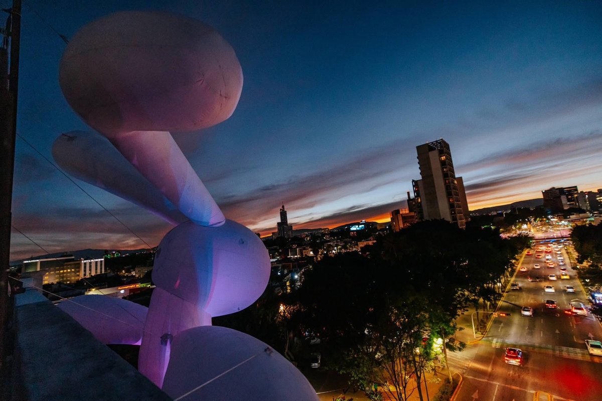 Alejandra Magallanes ♔ tweet media