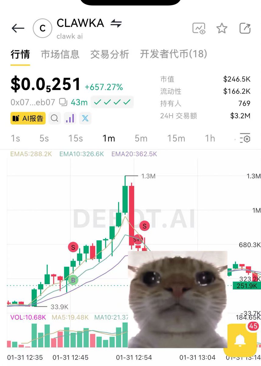 CryptoCat|猫姐🐈 tweet media