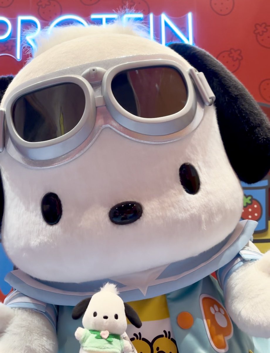 tototo_pocha's tweet image. 😭💕💕💕🥽🐾