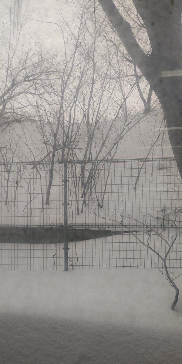 本日は、徳島県の挑王戦帰りのメンバーを温かい拍手で迎え (？)、12名でモルックやってきました！
寒くても楽しいぞモルック！
そして、3月のアポコン秋田巡業に向けて、練習あるのみ！楽しみ！
#秋田市 #モルック