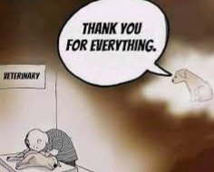 Caroline tweet media