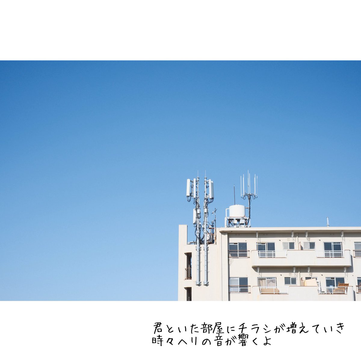 西端康孝 / コピーライター、歌人、川柳家 tweet media