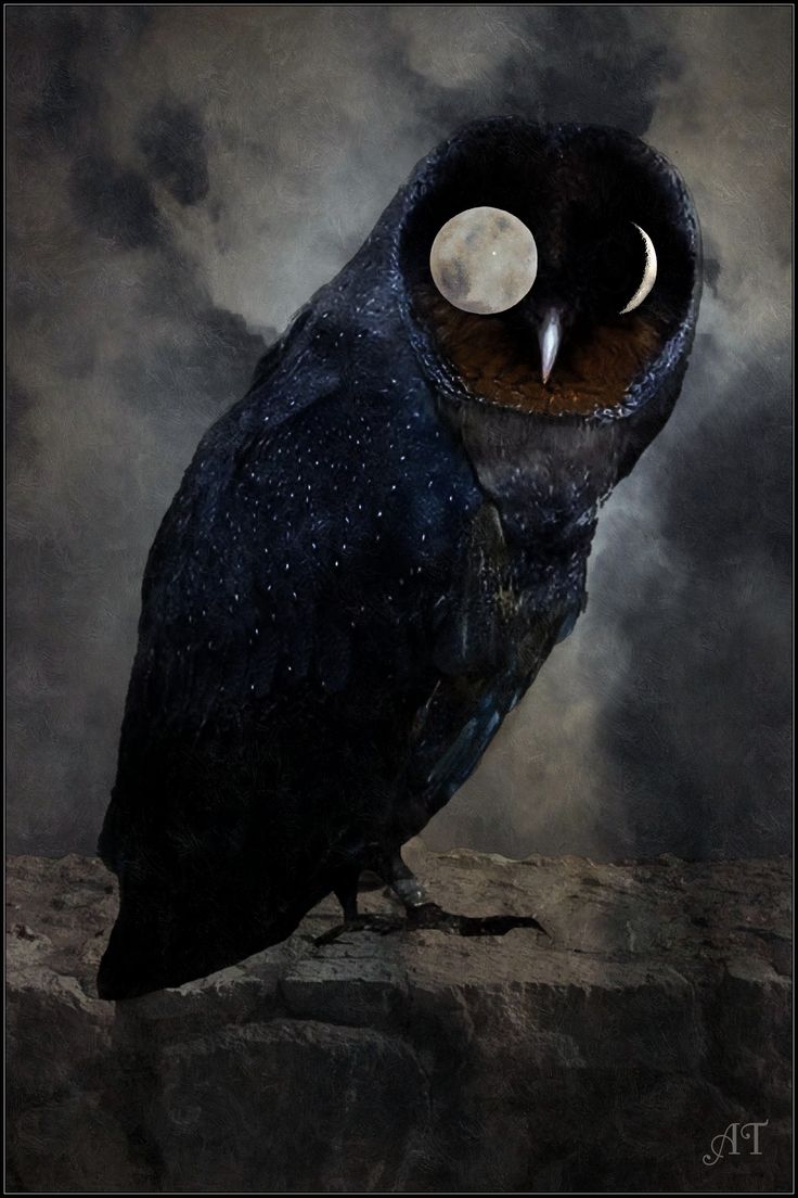 Thomas (@tkerouac76) on Twitter photo 