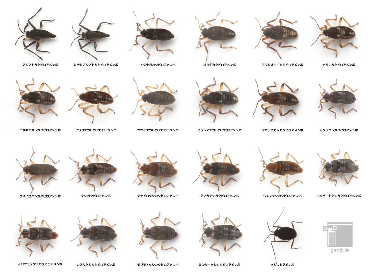 まつしま/ Matsushima (@hydrotusk) / Posts / X