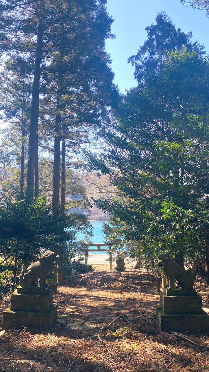 shokotsushima's tweet photo. 鳥居越しに見える青い海✨
峰湾
白岳神社⛩ https://t.co/wGT2LXKJLZ