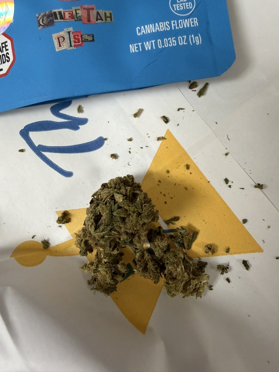 Dudestien tweet media