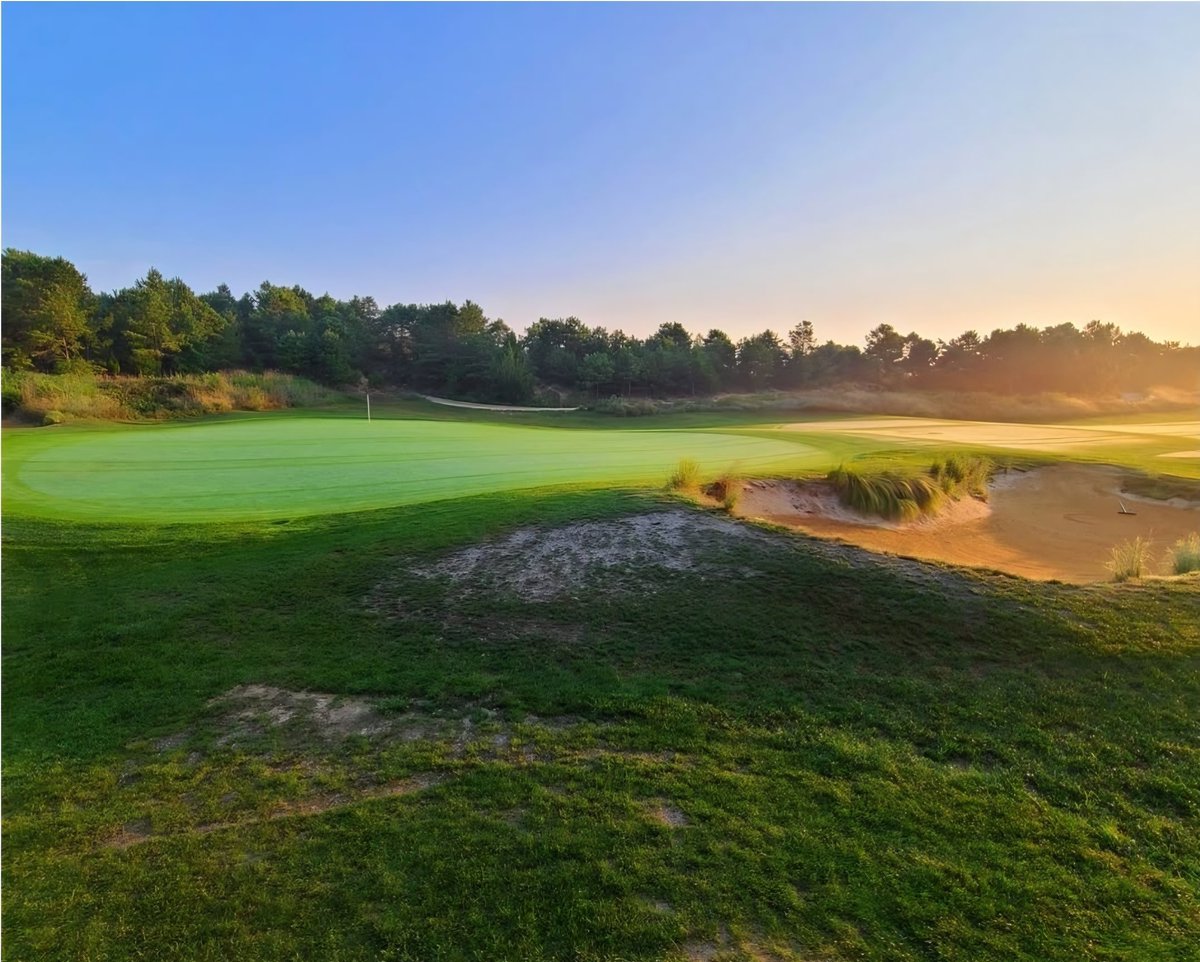 Orson Rosas Golf tweet media