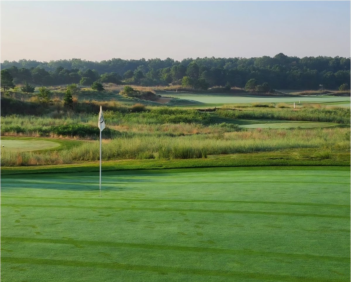 Orson Rosas Golf tweet media