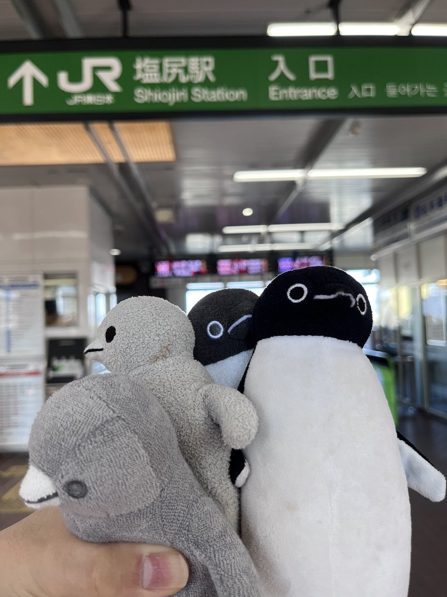 ☆ペンギン☆ (@penguin00000001) / Posts / X