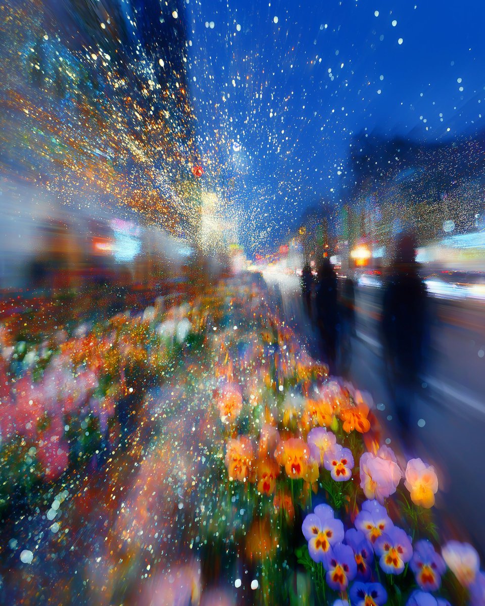 🌙en 🏴‍☠️ quantumspirit.eth/tez 🌈 (@jenpanepinto) on Twitter photo 