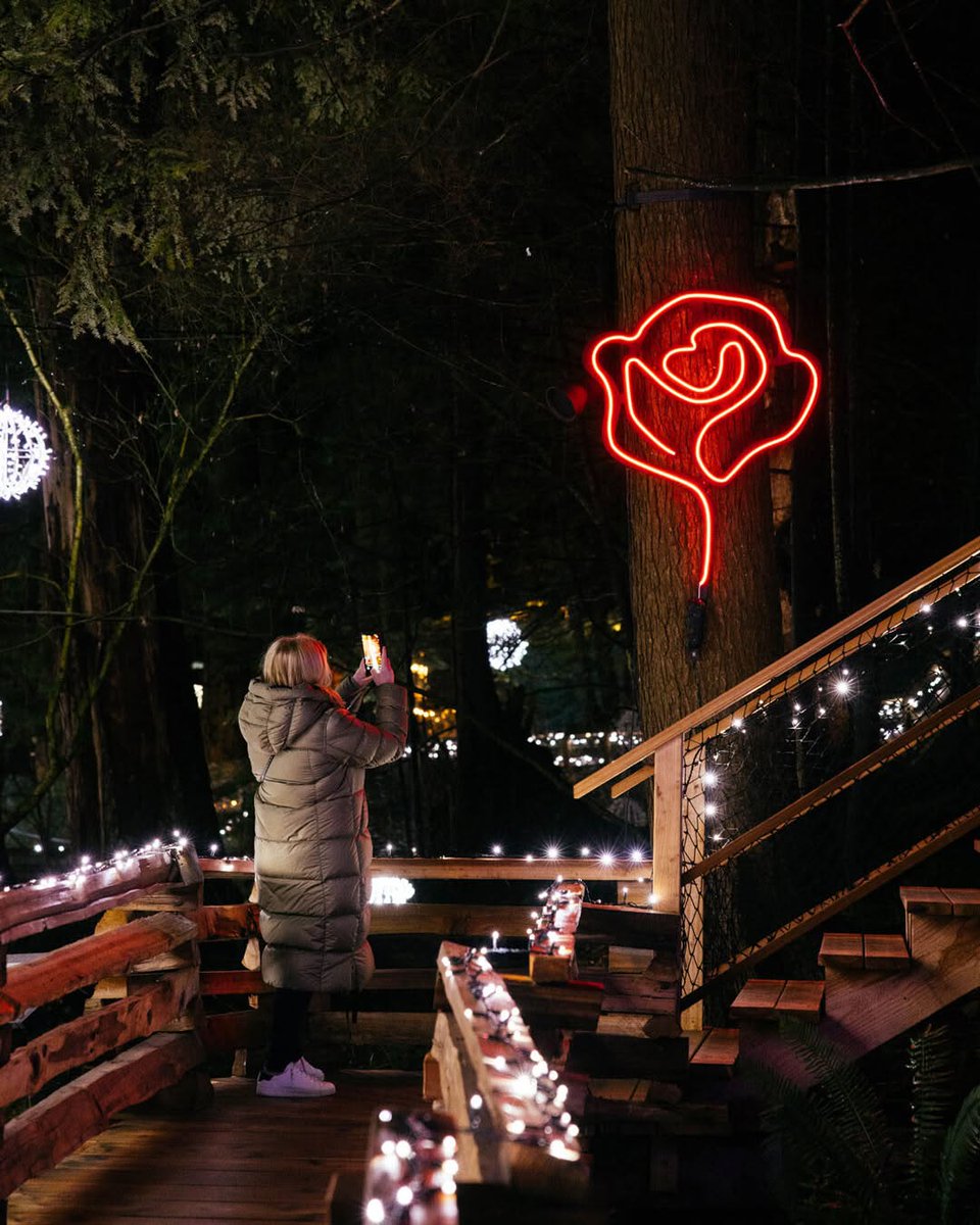 HiltonYVR's tweet photo. Opening today 💖 Love Lights at @capbridge runs until Feb 22, featuring romantic illuminations and magical evening views.

📸: IG/capilanosuspensionbridge

#CapBridge #ExploreBC #DateNightYVR #VeryVancouver https://t.co/OkV4a65aZM