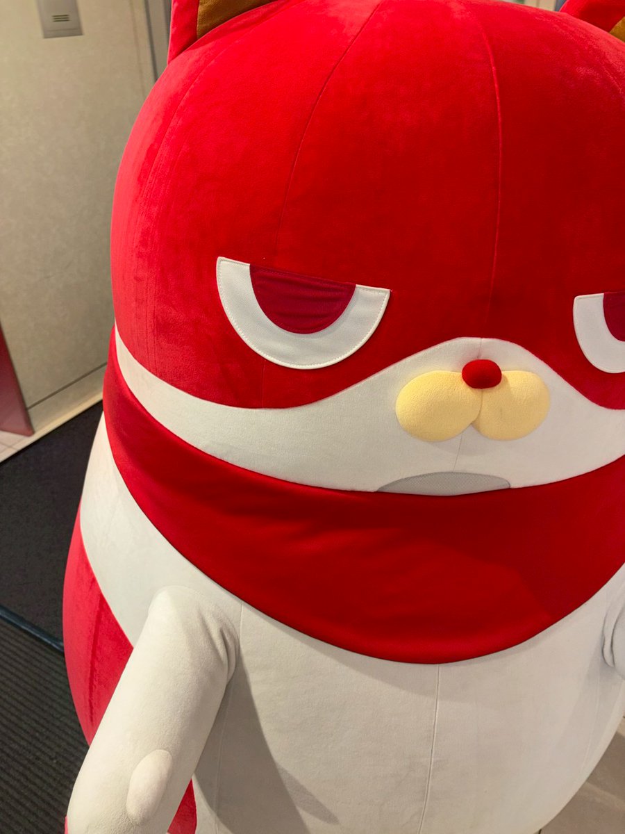 おはようございます🐱 朝からにゃんまる来てくれてまーす❤ 今日も